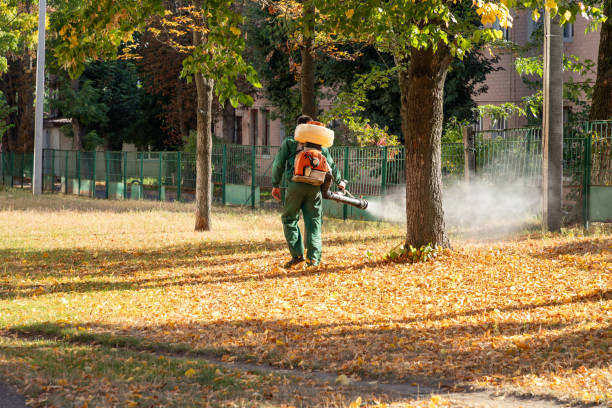 Best Local Pest Control Services  in Moyie Springs, ID